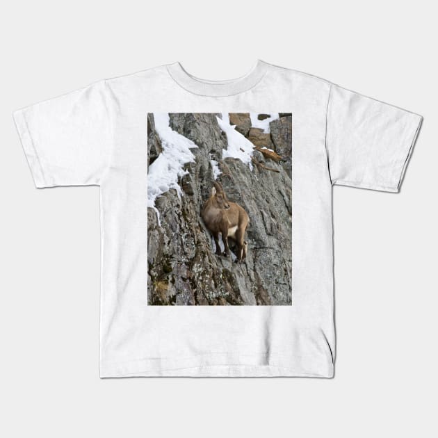 Ibex On Cliff Kids T-Shirt by jaydee1400